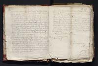 1_335_0_0_163-3_0017