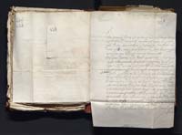 1_335_0_0_163-3_0116