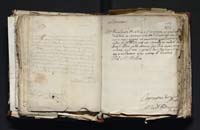 1_335_0_0_163-3_0227