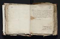 1_335_0_0_163-3_0228