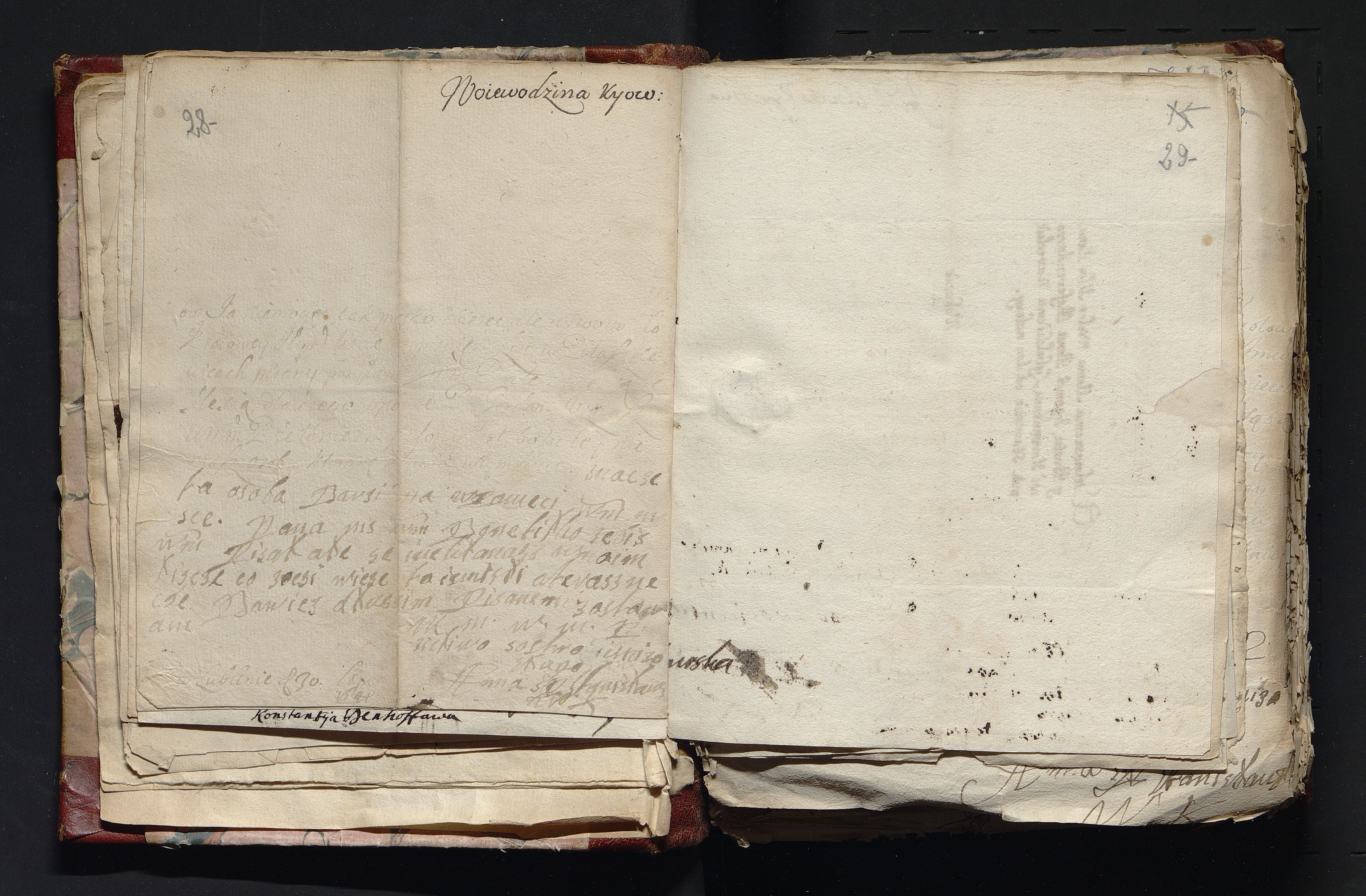 1_335_0_0_163-4_0013