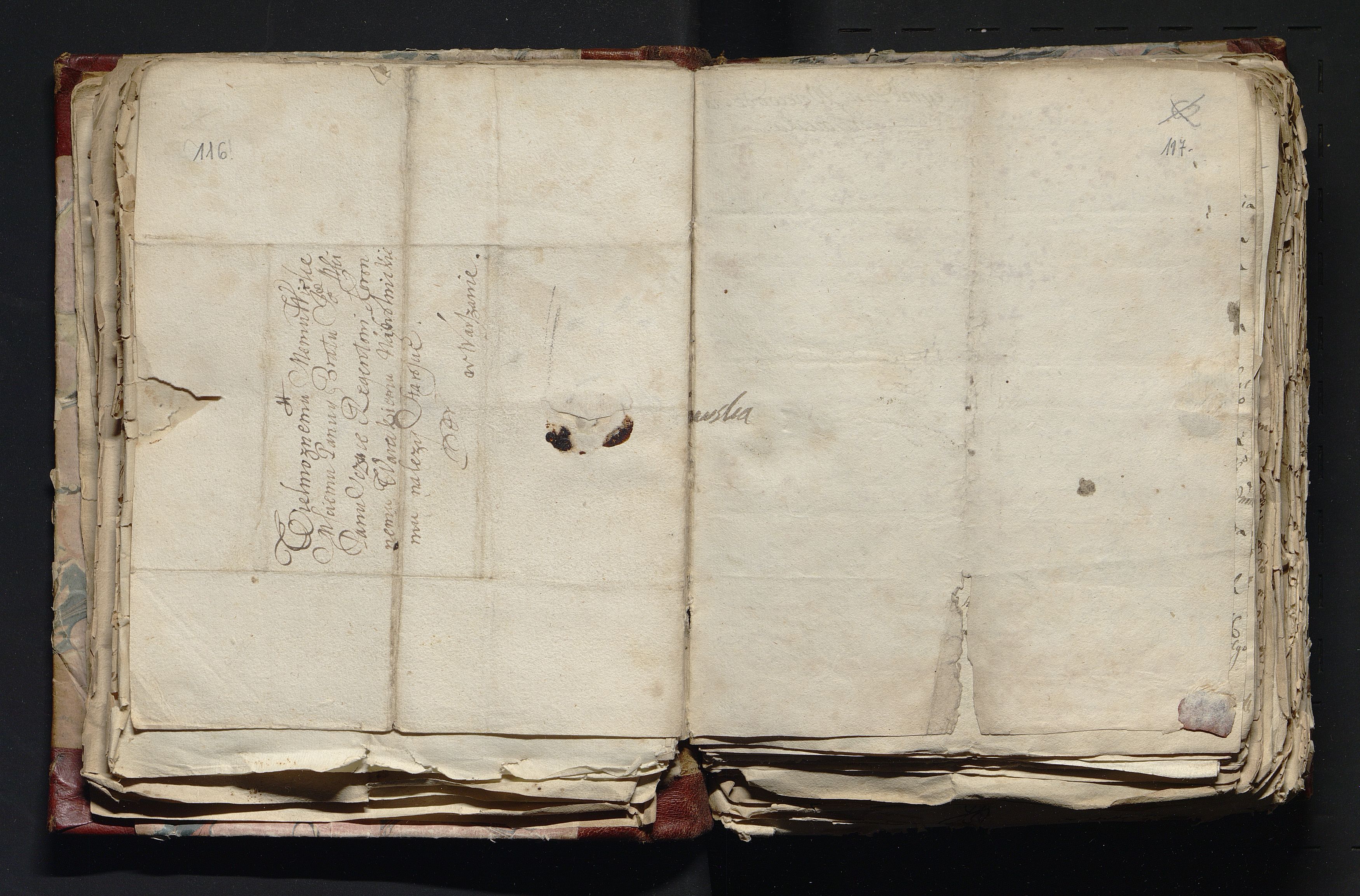 1_335_0_0_163-4_0060