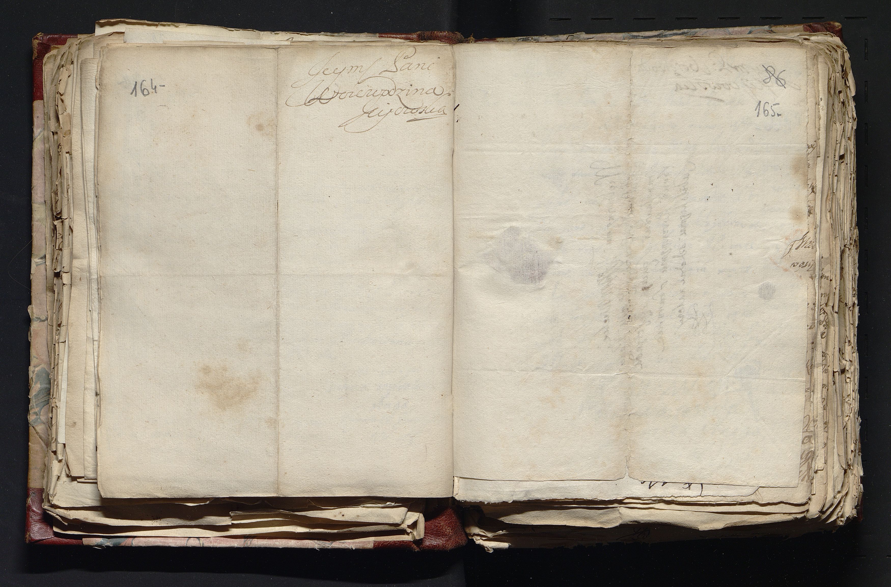 1_335_0_0_163-4_0083