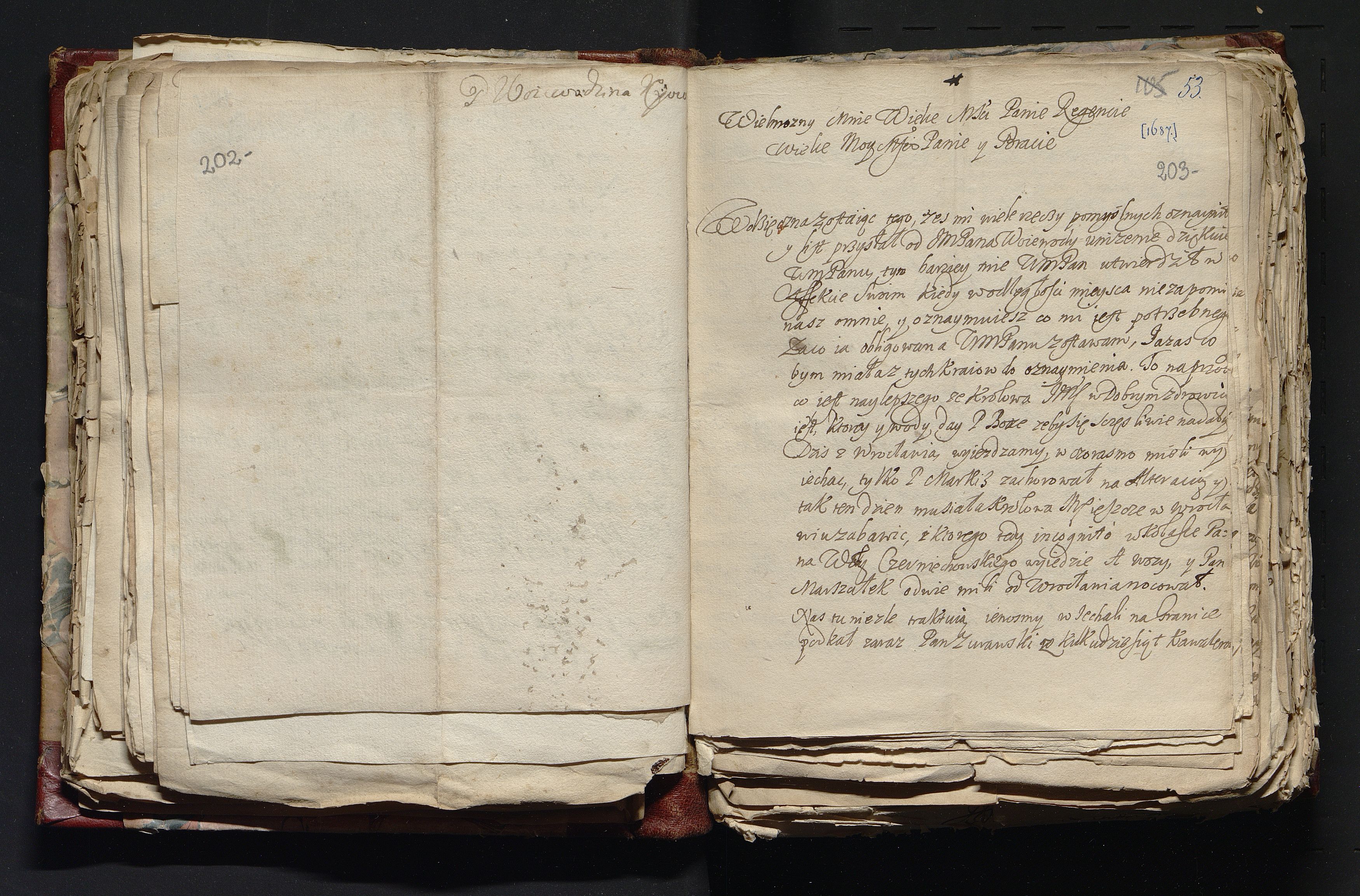 1_335_0_0_163-4_0102