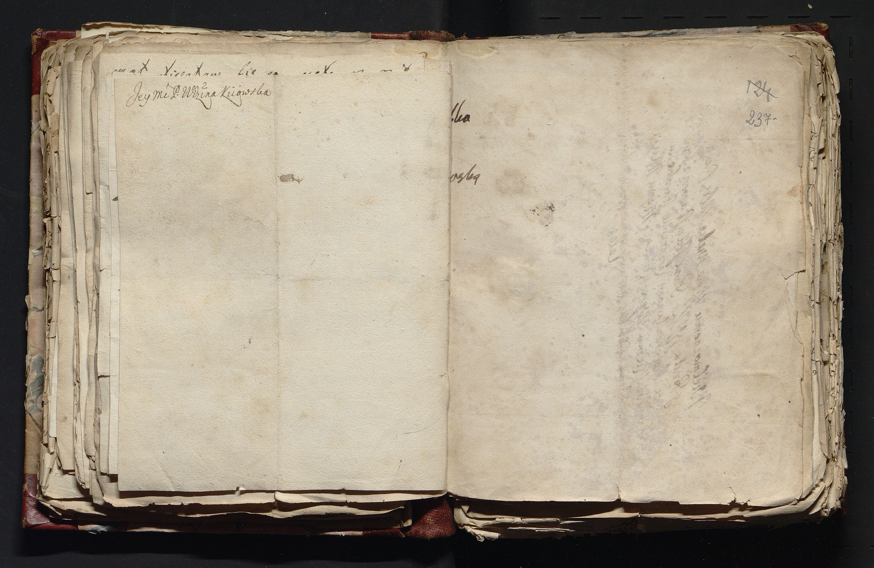 1_335_0_0_163-4_0121