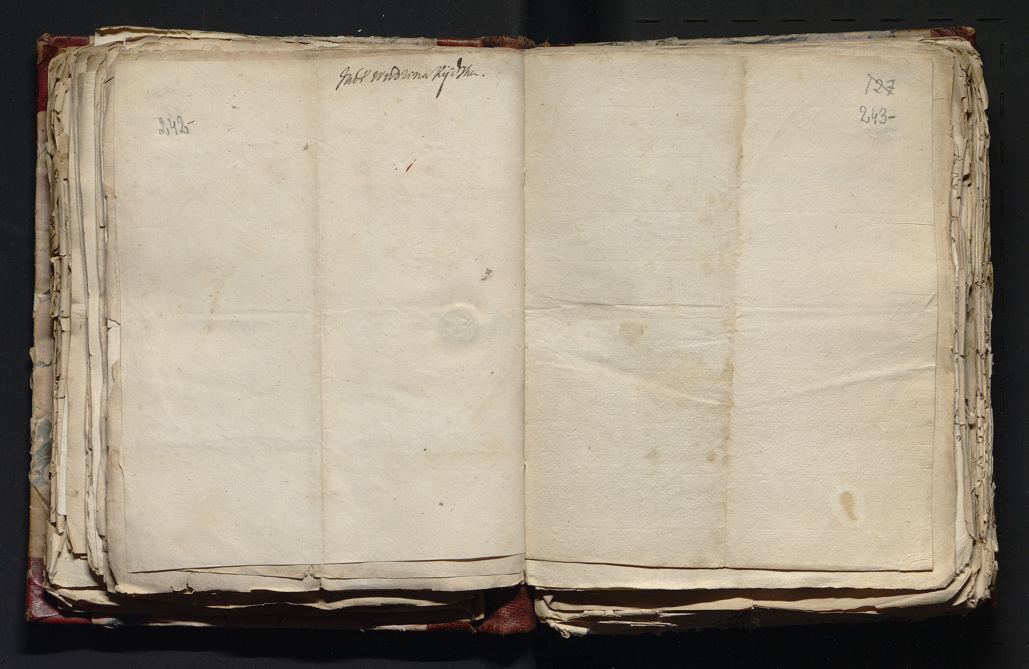 1_335_0_0_163-4_0124