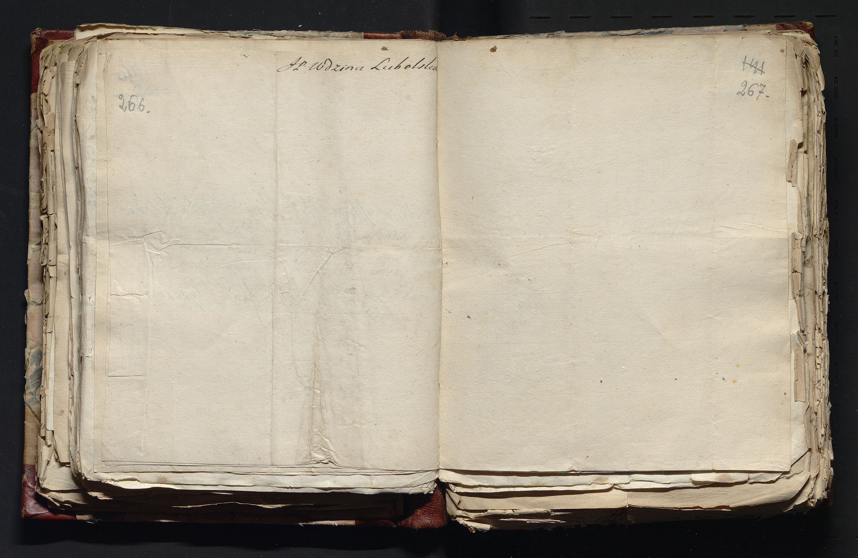 1_335_0_0_163-4_0137