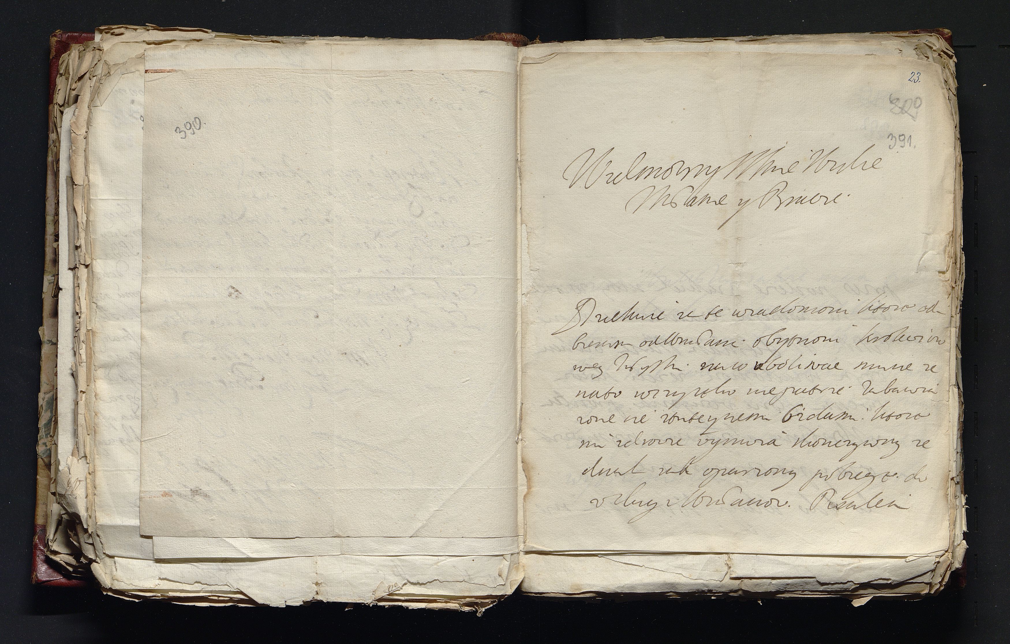 1_335_0_0_163-4_0199