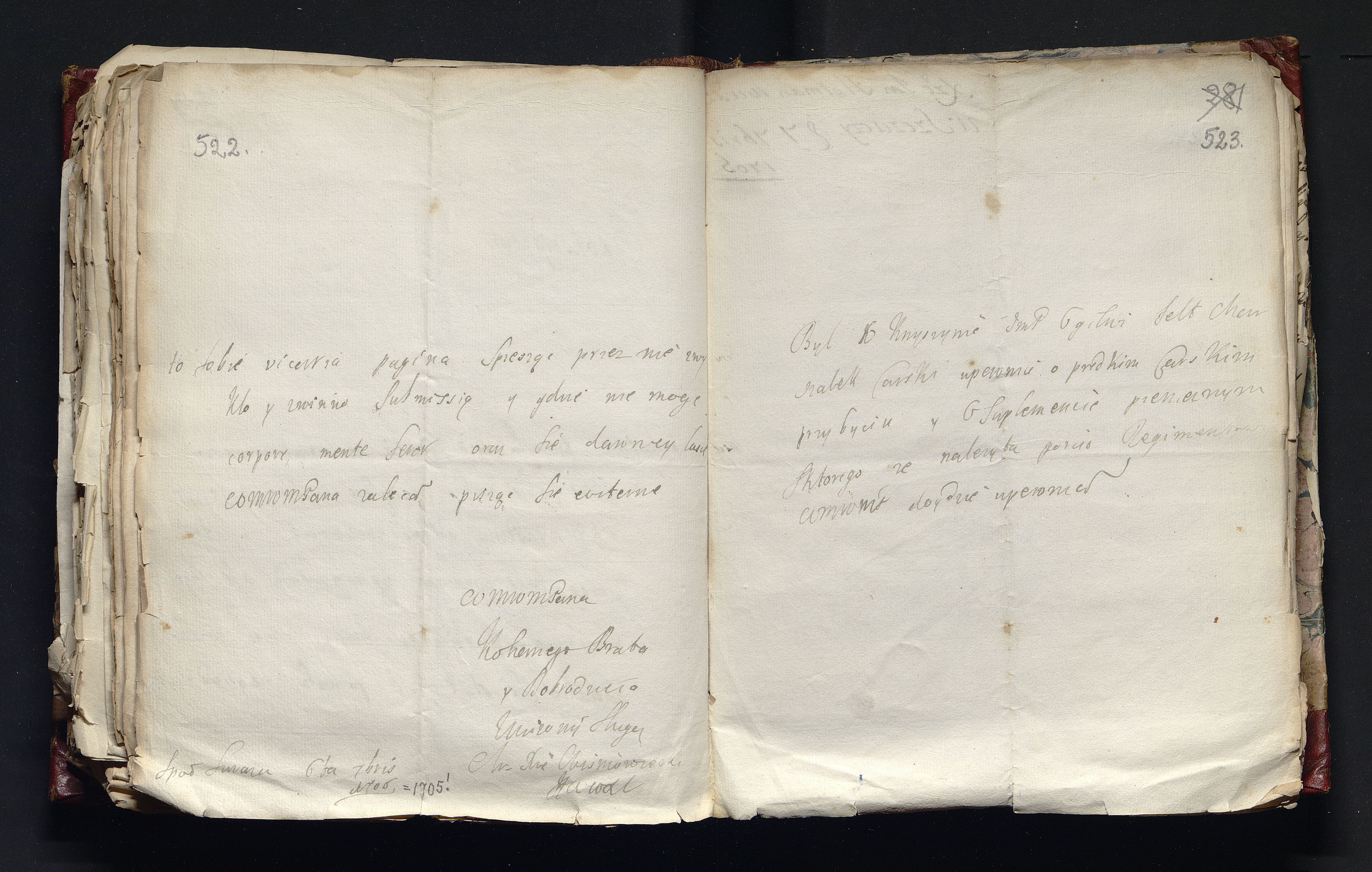 1_335_0_0_163-4_0265