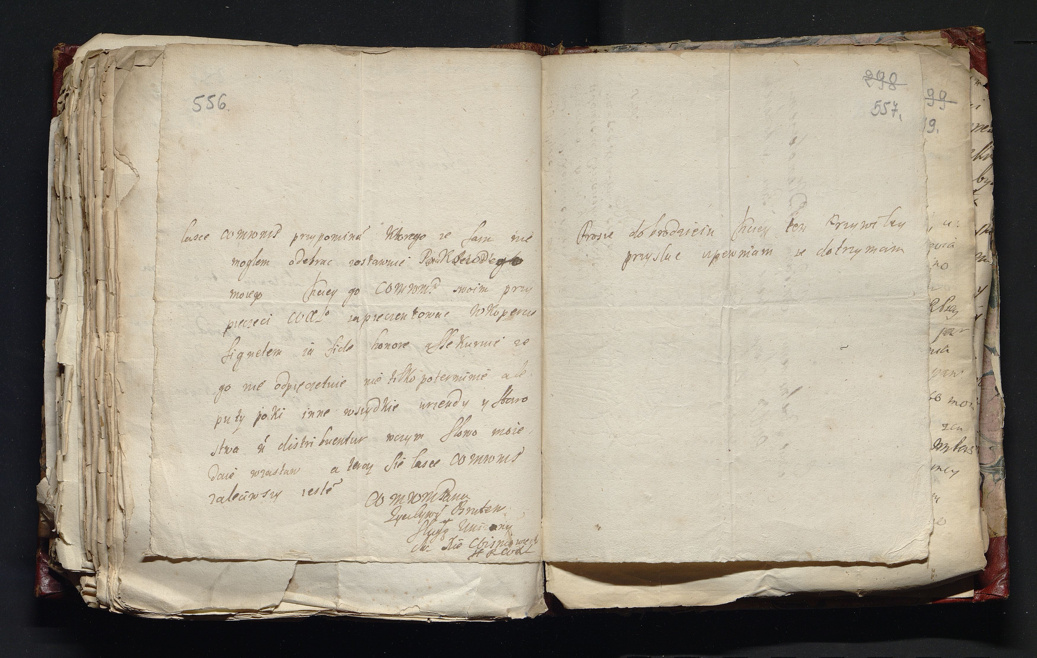 1_335_0_0_163-4_0281