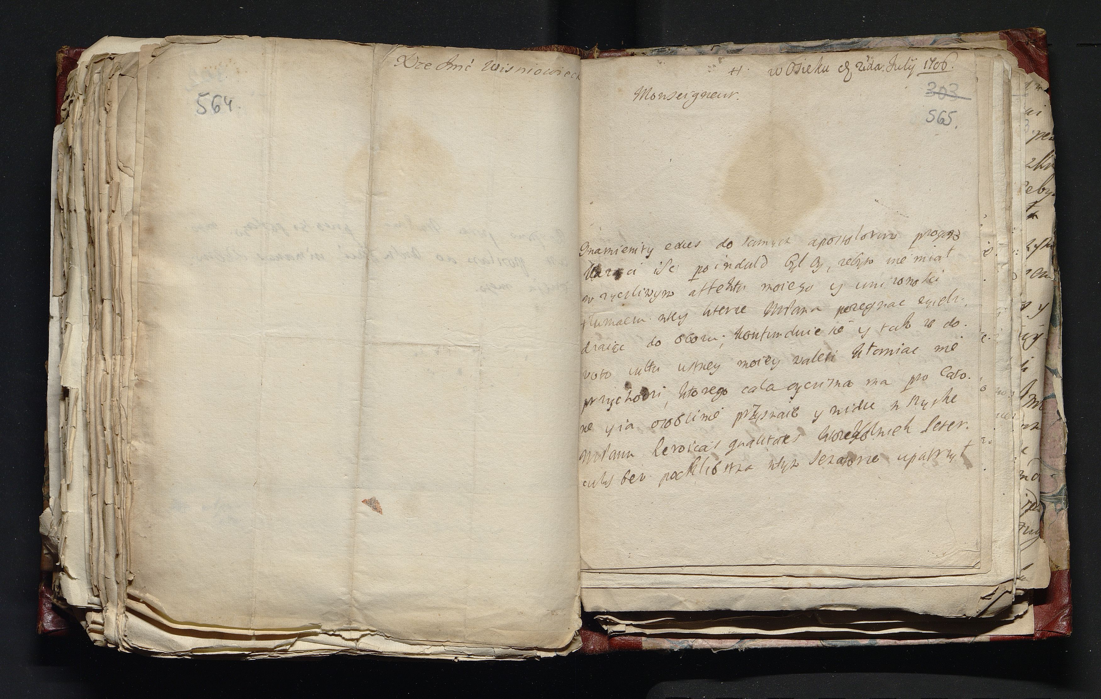 1_335_0_0_163-4_0285