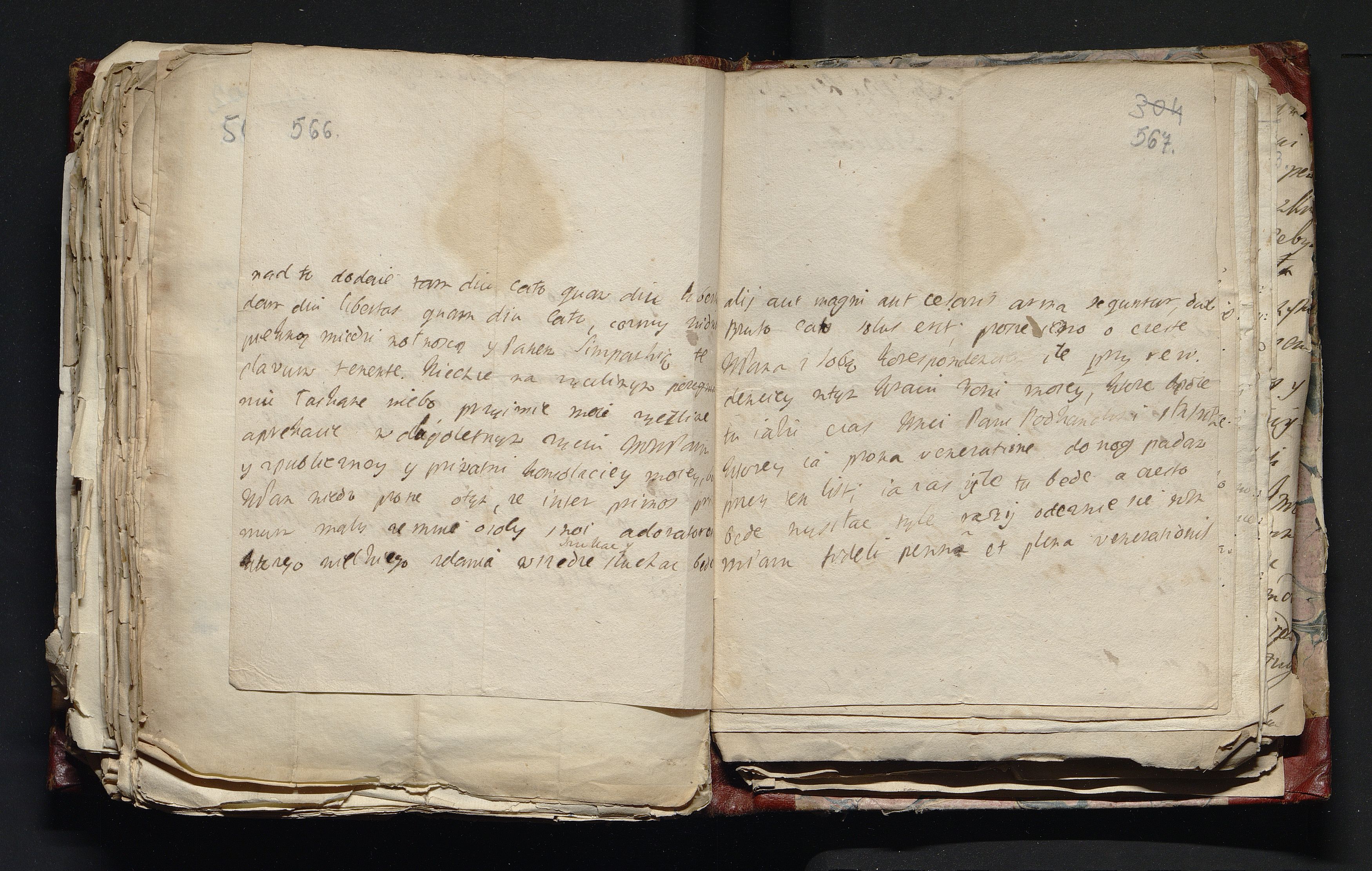 1_335_0_0_163-4_0286