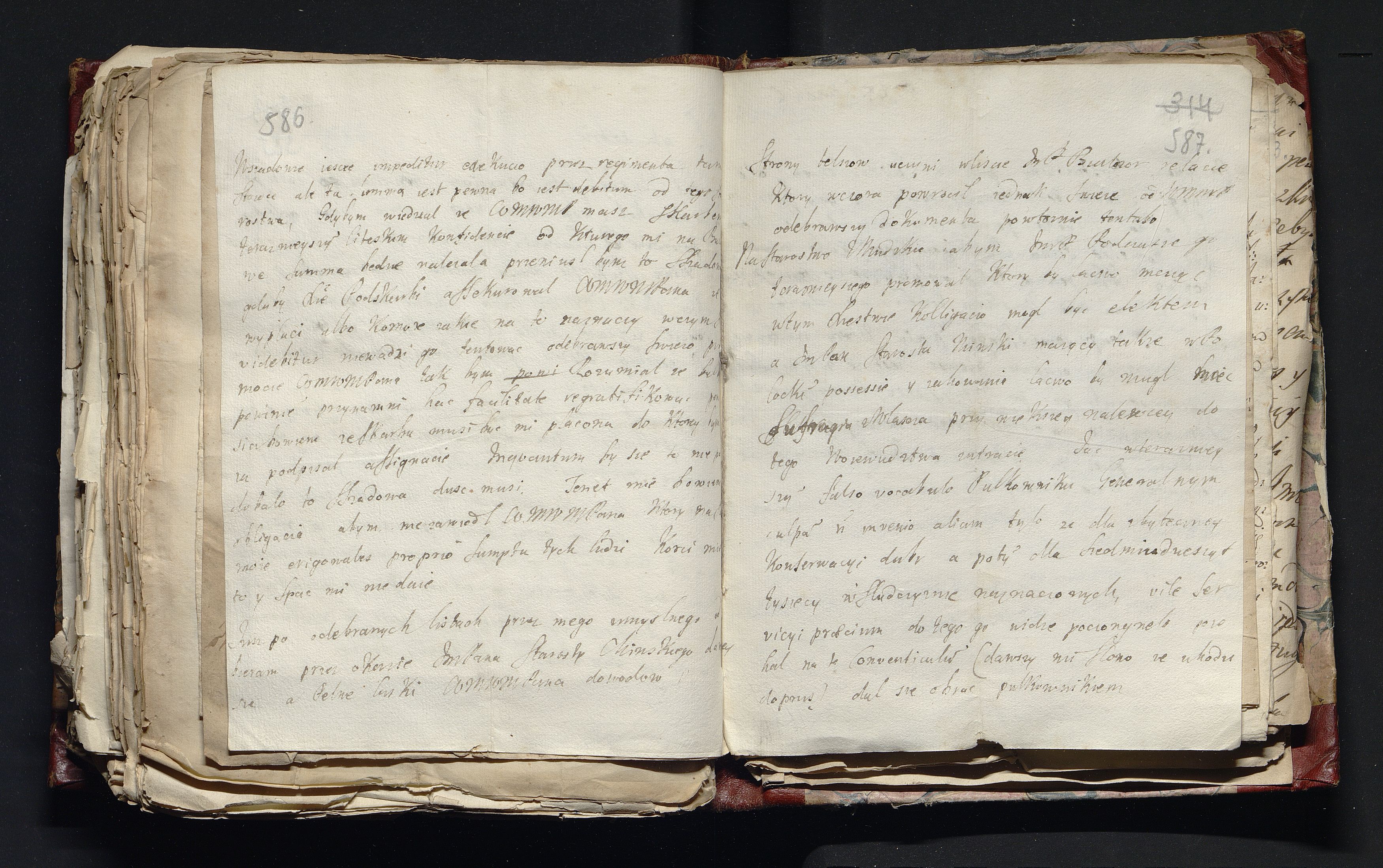 1_335_0_0_163-4_0295