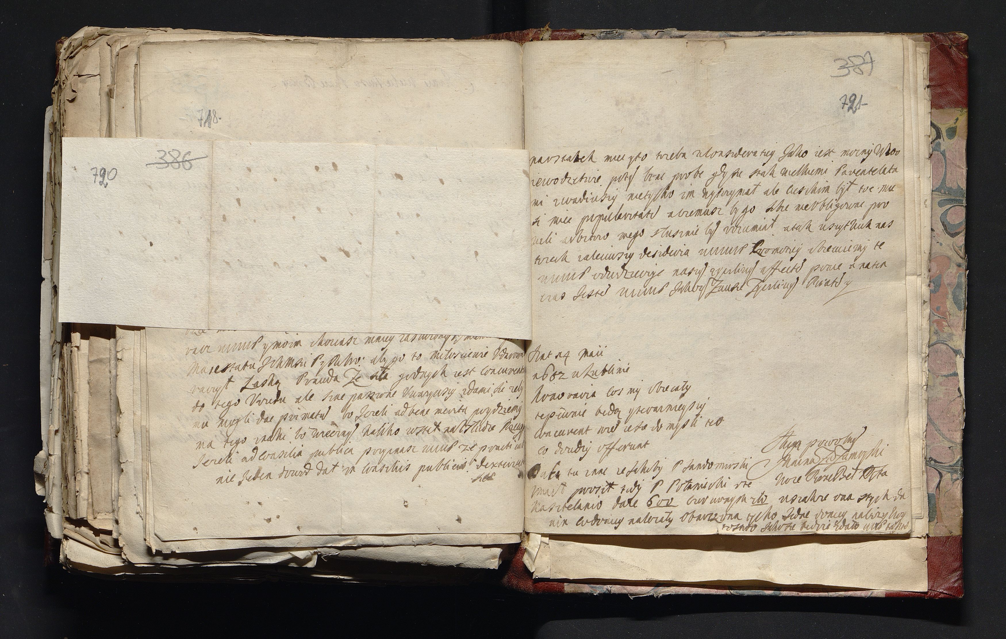 1_335_0_0_163-4_0359