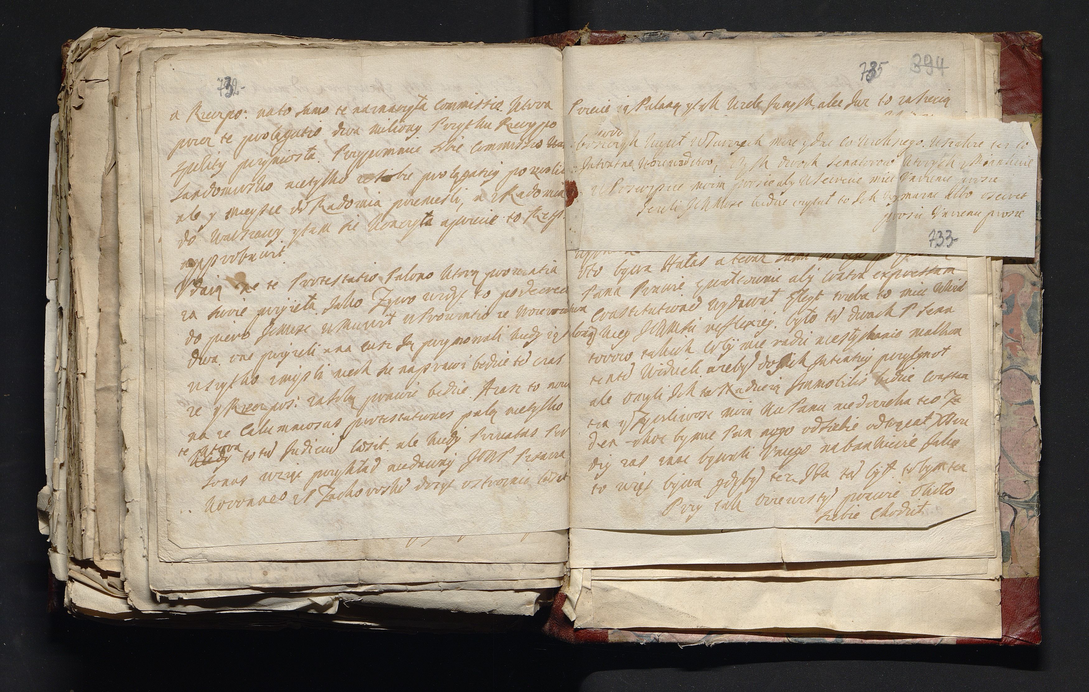 1_335_0_0_163-4_0365