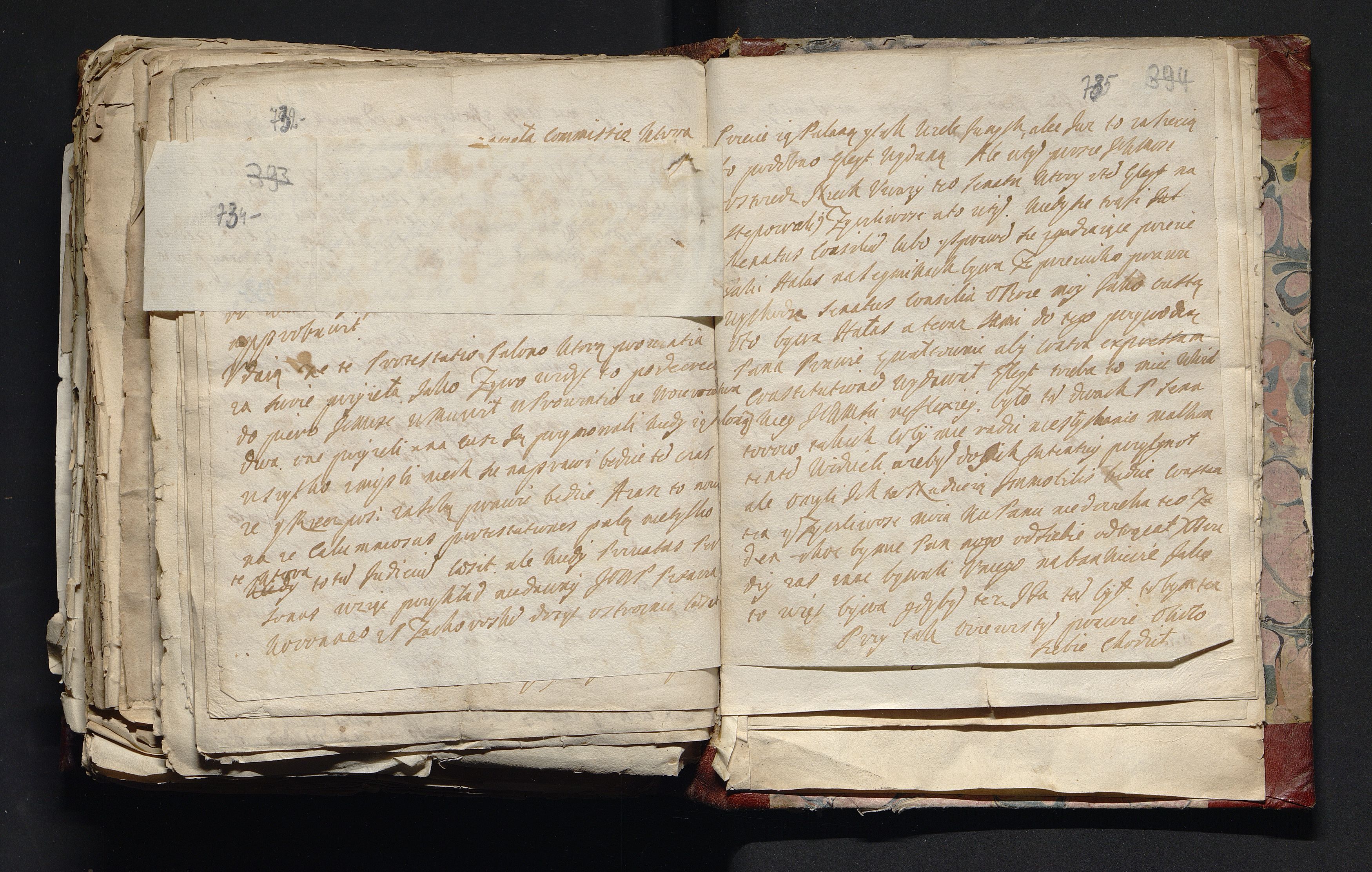 1_335_0_0_163-4_0366