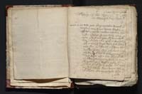 1_335_0_0_163-4_0005