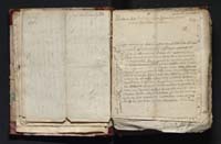 1_335_0_0_163-4_0017