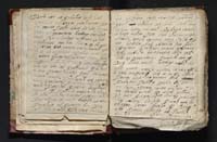 1_335_0_0_163-4_0019