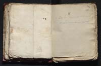 1_335_0_0_163-4_0142