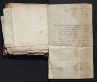 1_335_0_0_163-4_0170