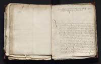 1_335_0_0_163-4_0242