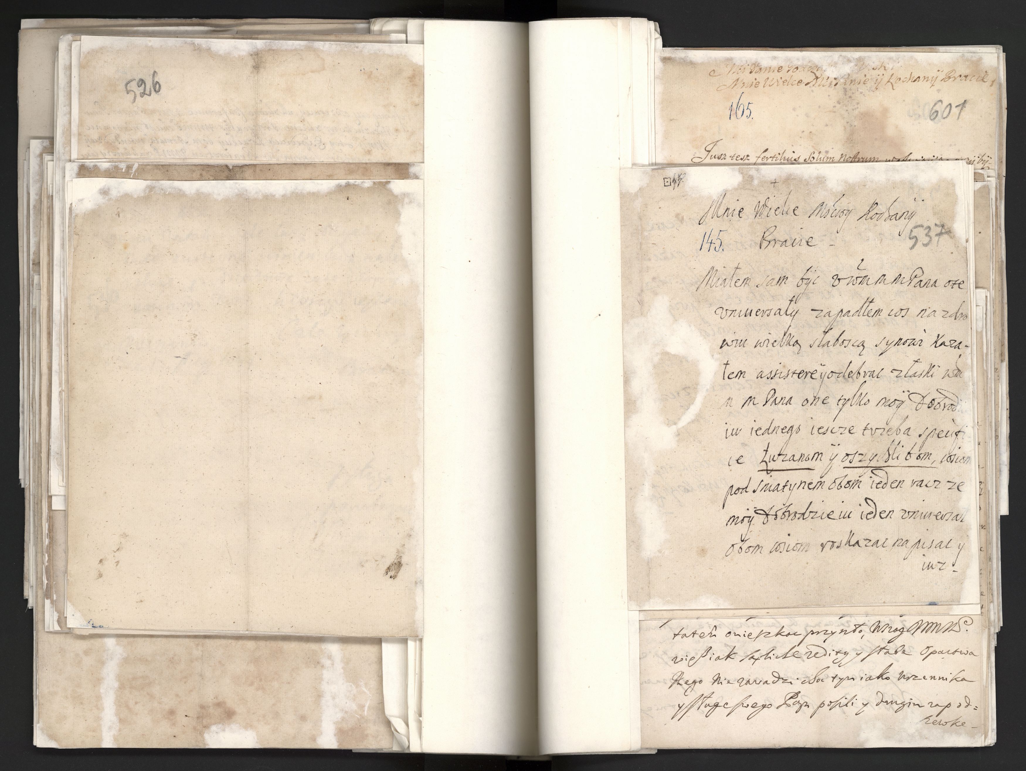 1_335_0_0_163a-10_0254