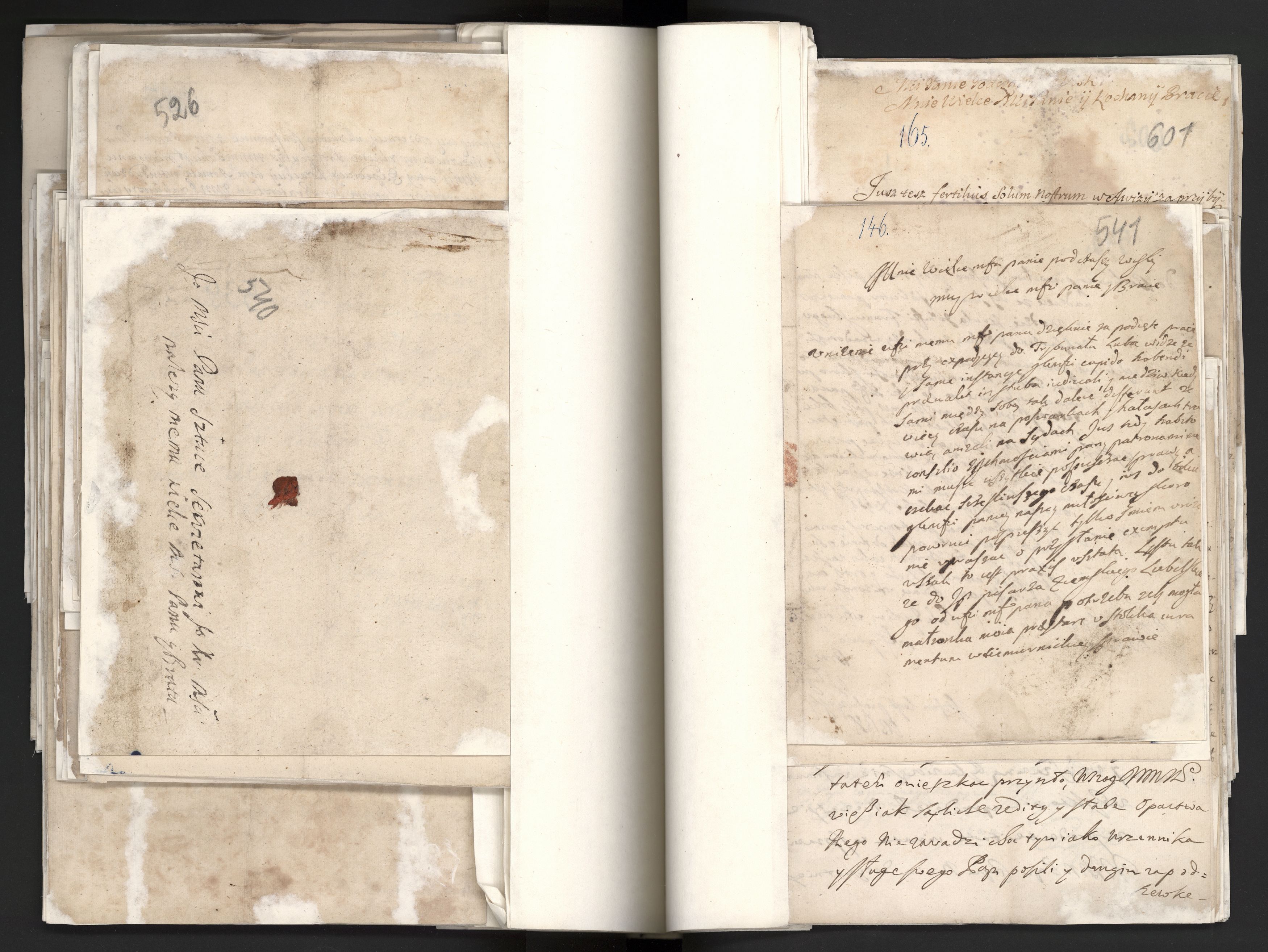 1_335_0_0_163a-10_0256