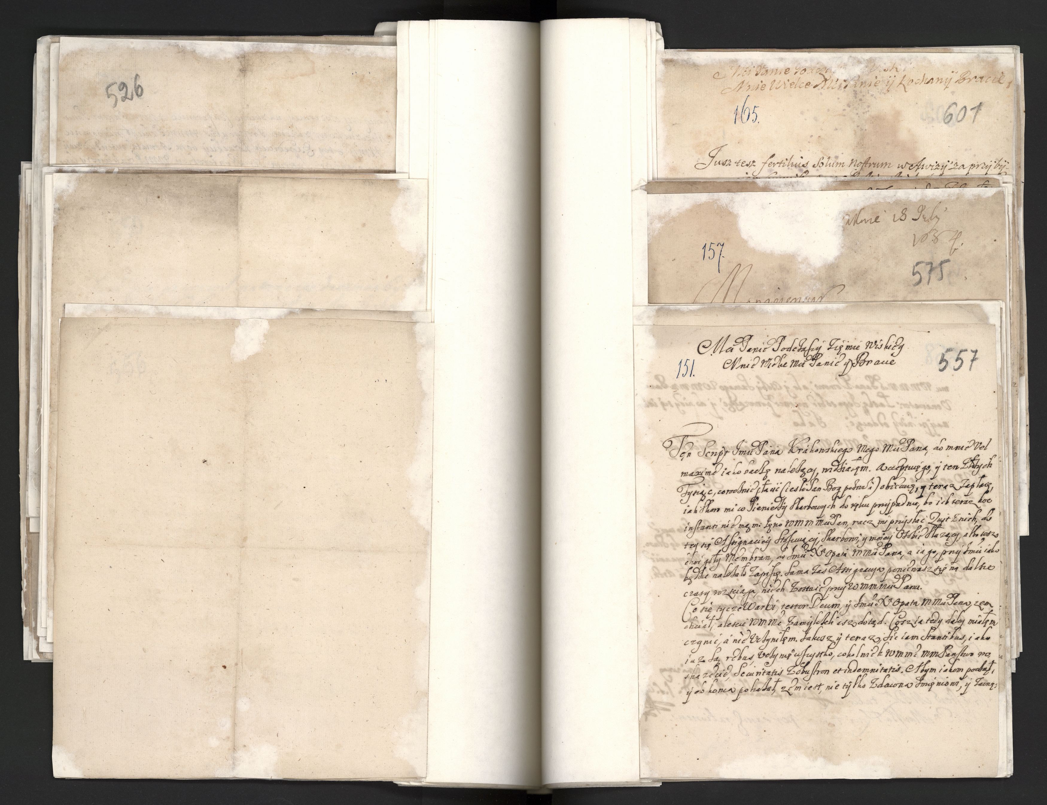 1_335_0_0_163a-10_0264