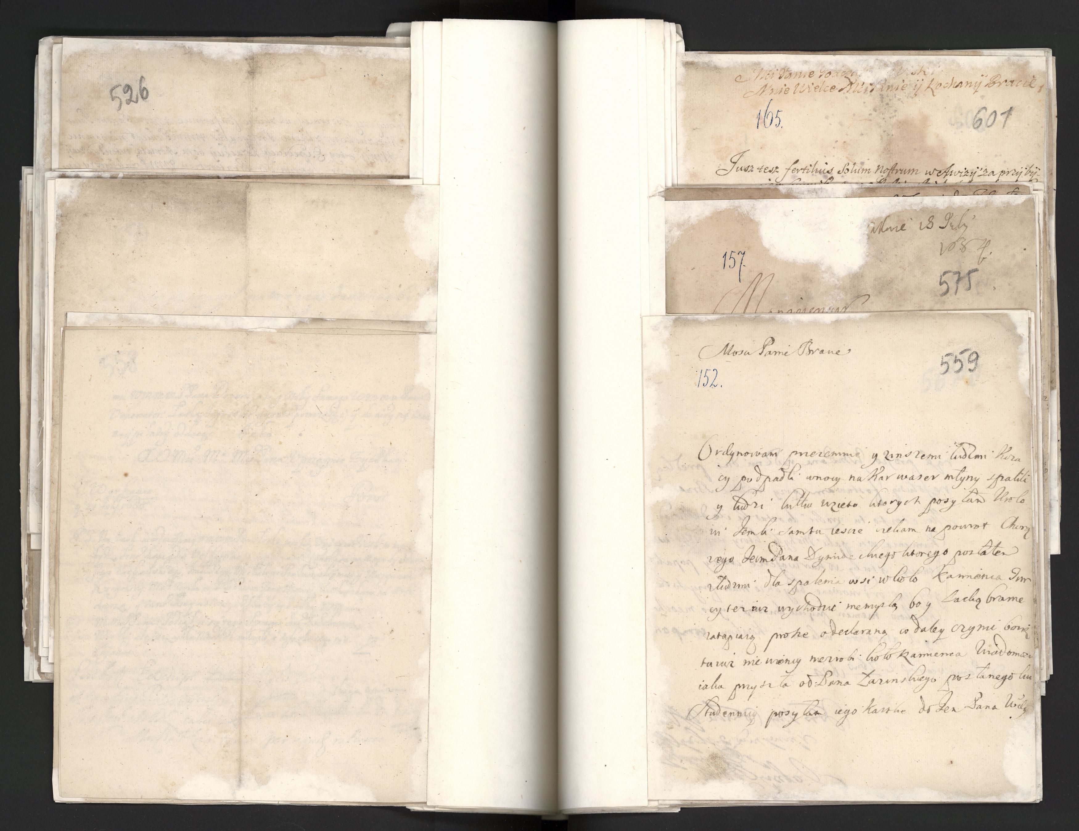 1_335_0_0_163a-10_0266