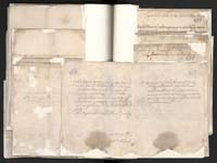 1_335_0_0_163a-10_0215