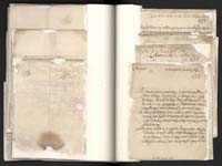 1_335_0_0_163a-10_0216