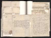 1_335_0_0_163a-10_0217