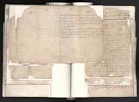 1_335_0_0_163a-10_0358