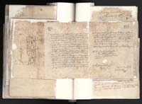 1_335_0_0_163a-10_0391