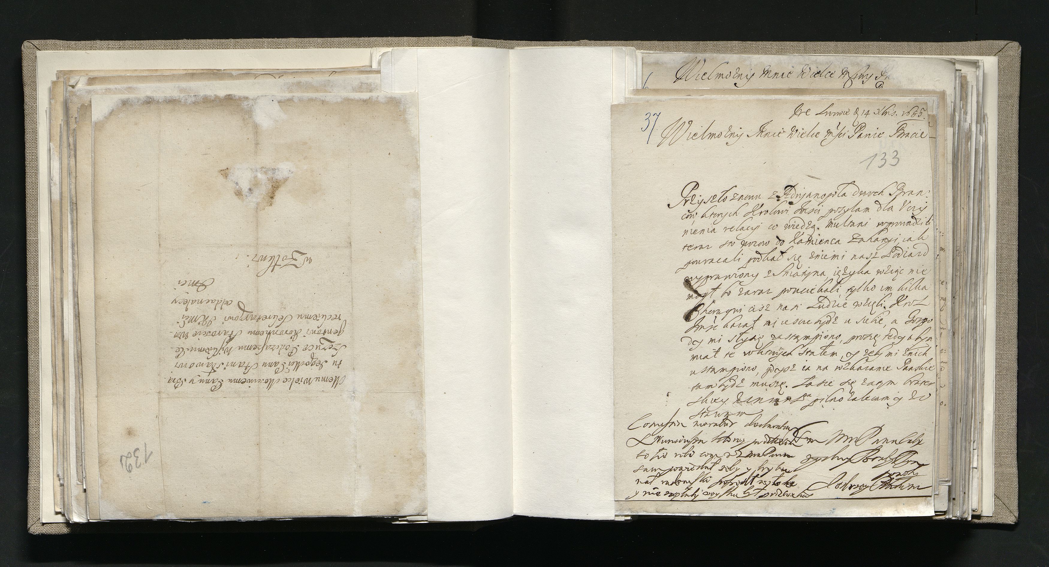 1_335_0_0_163a-11-1_0066