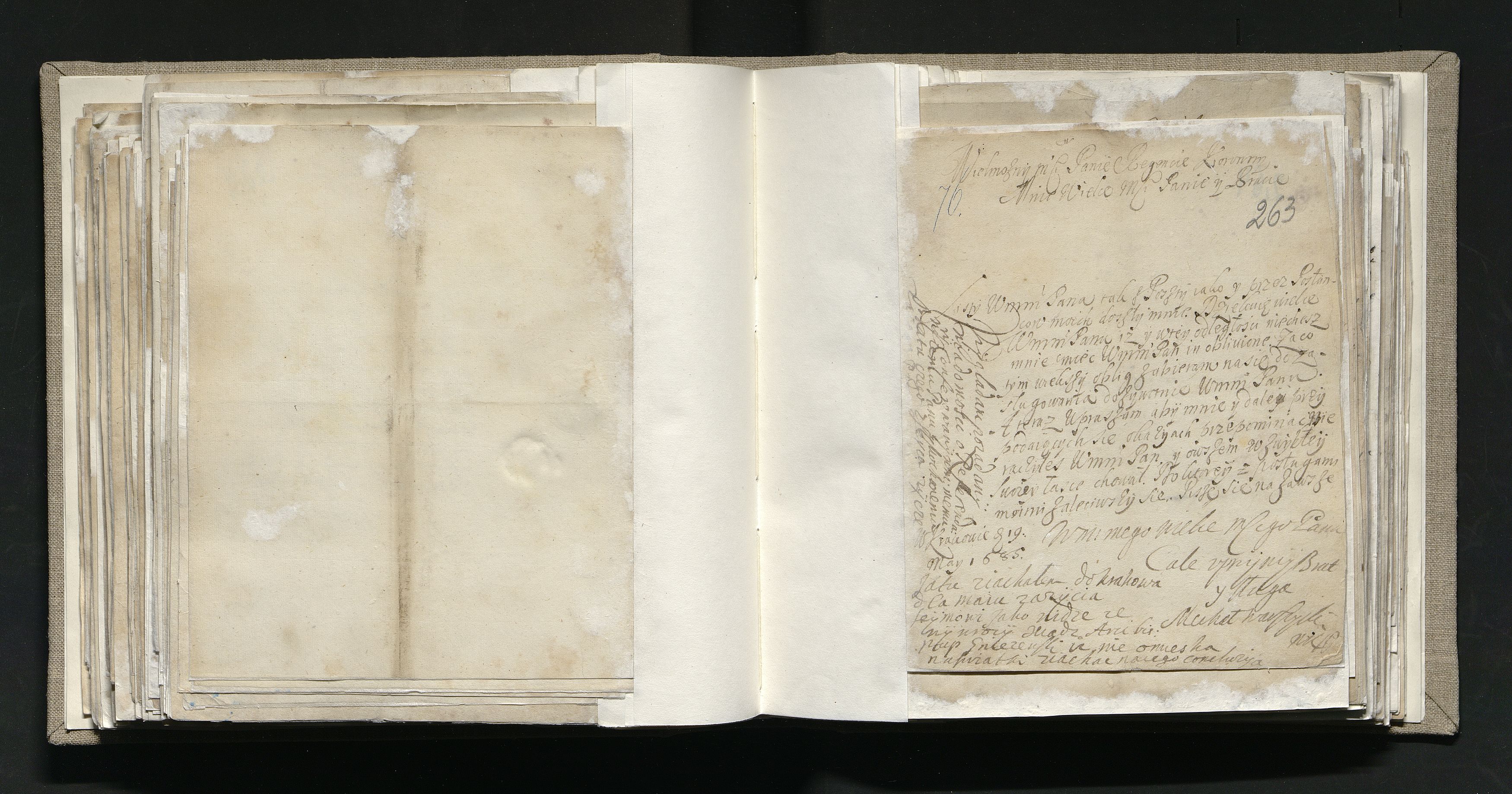 1_335_0_0_163a-11-1_0136