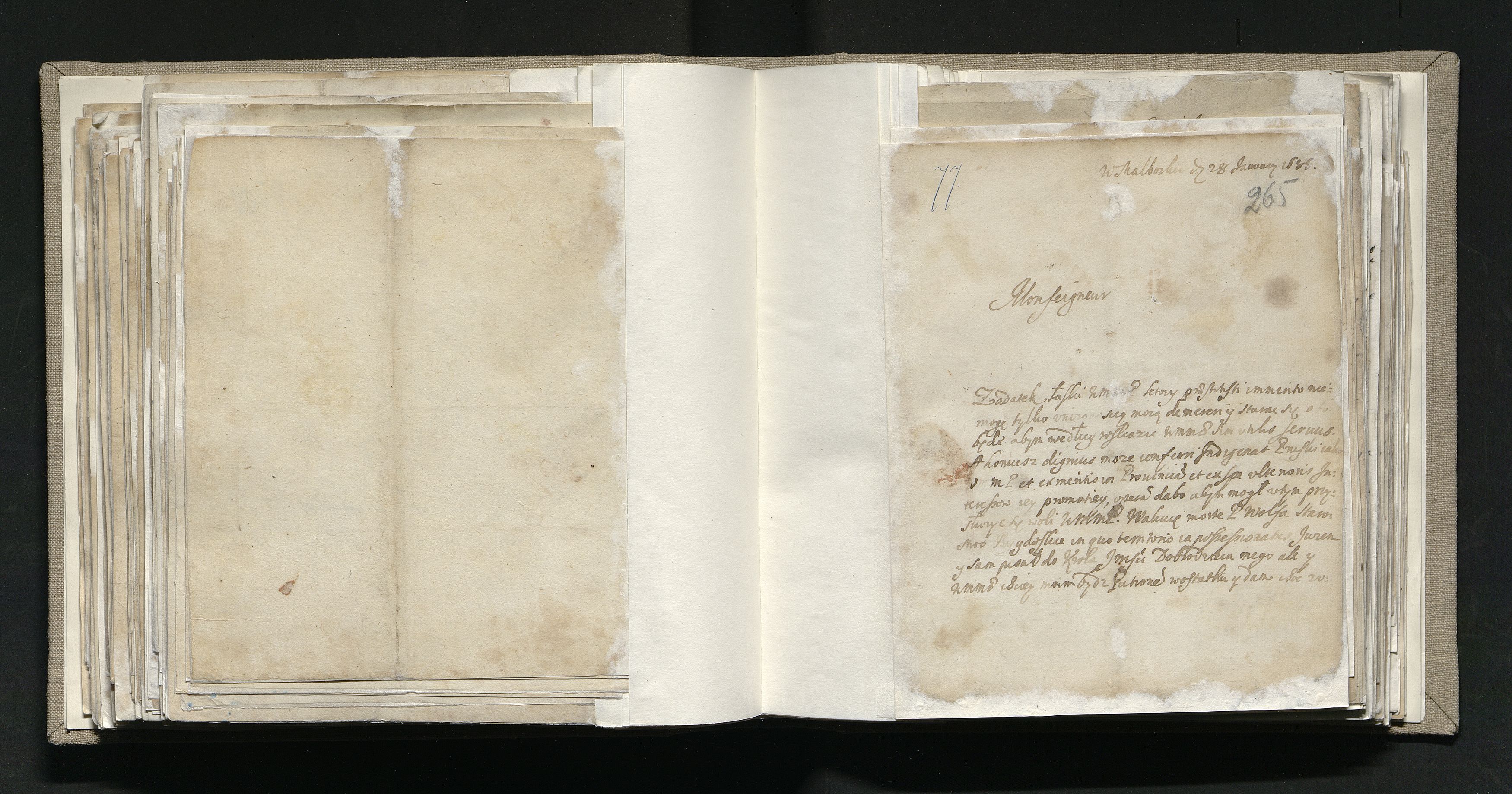 1_335_0_0_163a-11-1_0137