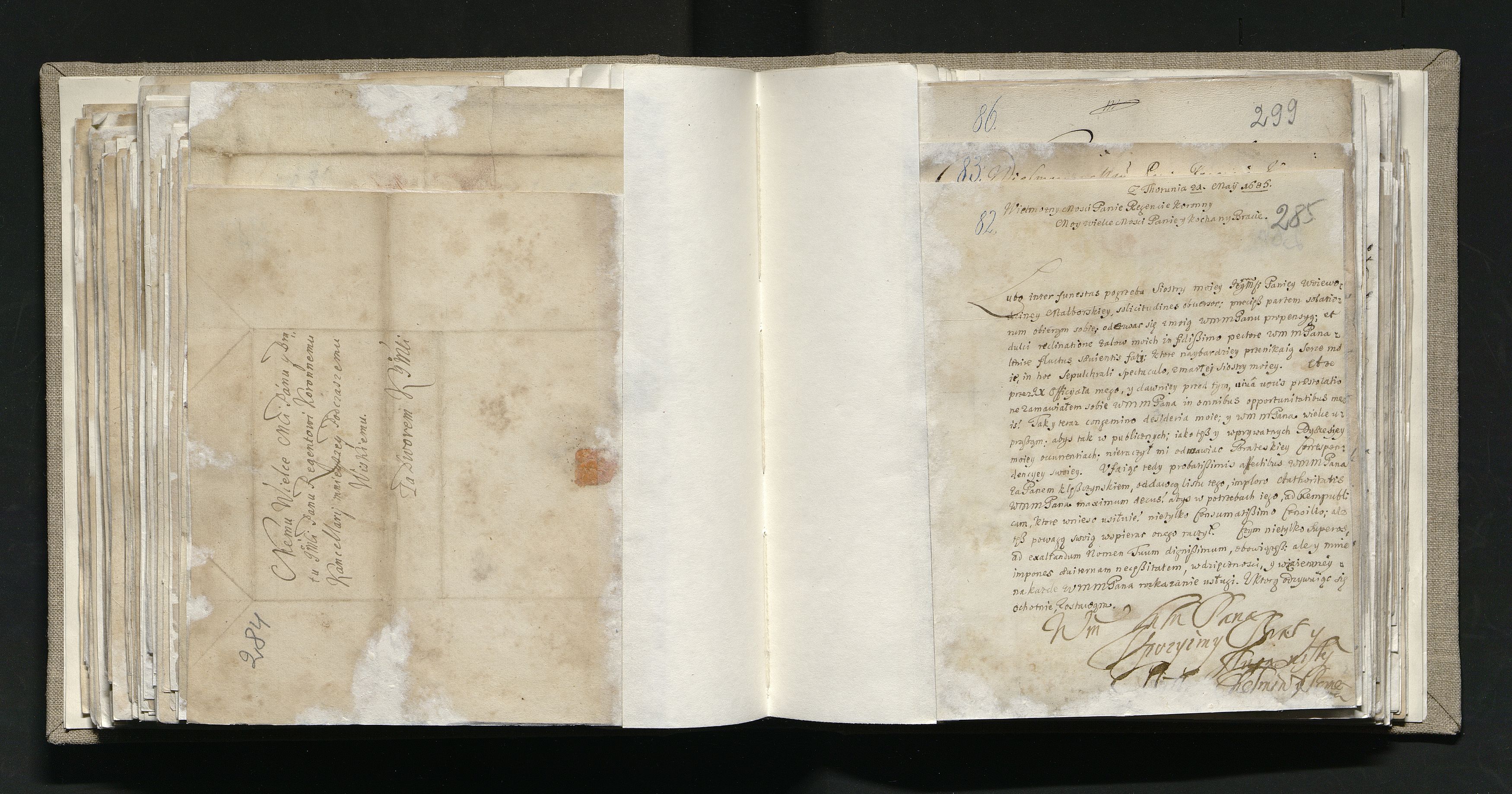 1_335_0_0_163a-11-1_0146