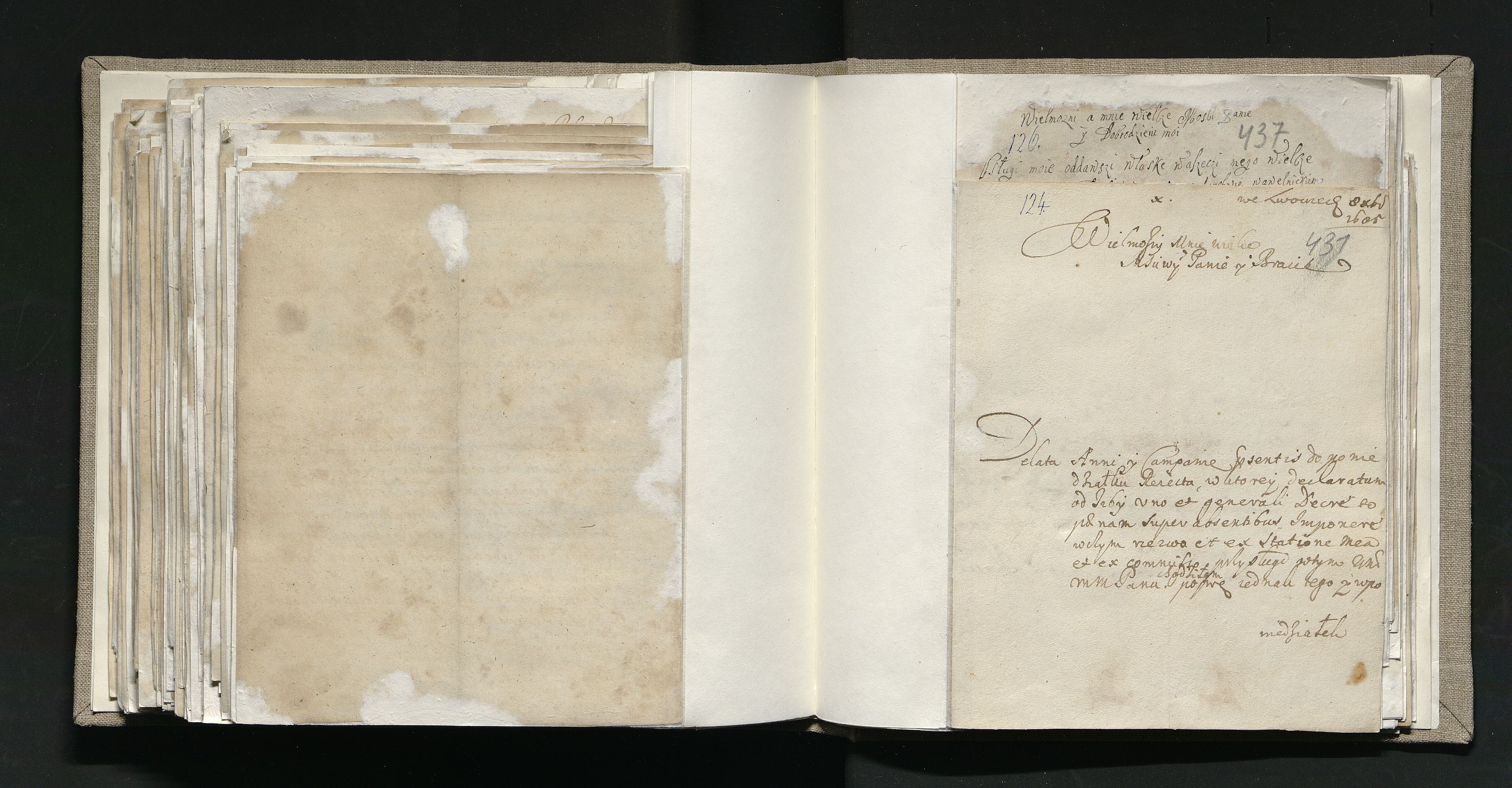 1_335_0_0_163a-11-1_0213