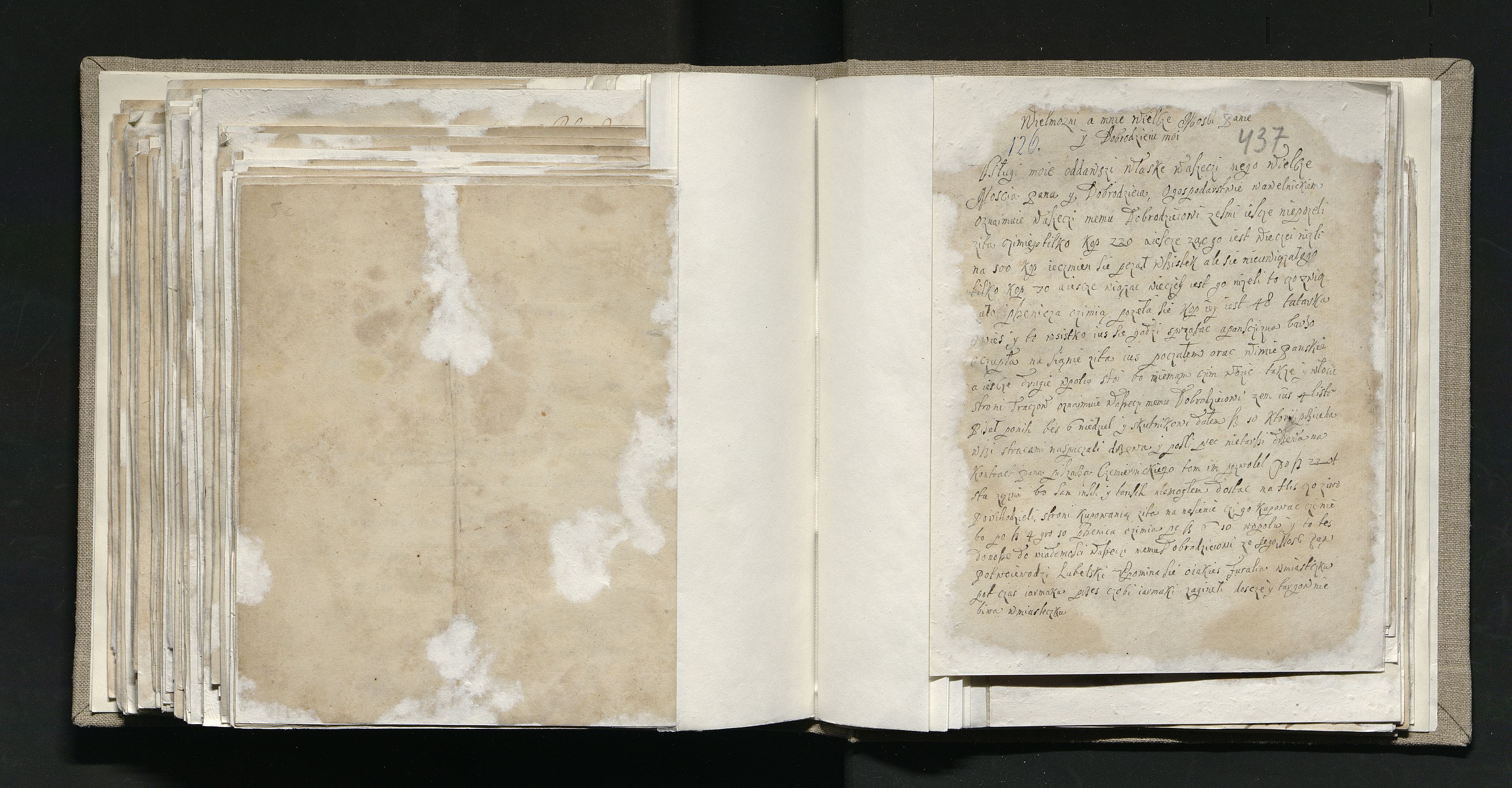 1_335_0_0_163a-11-1_0217