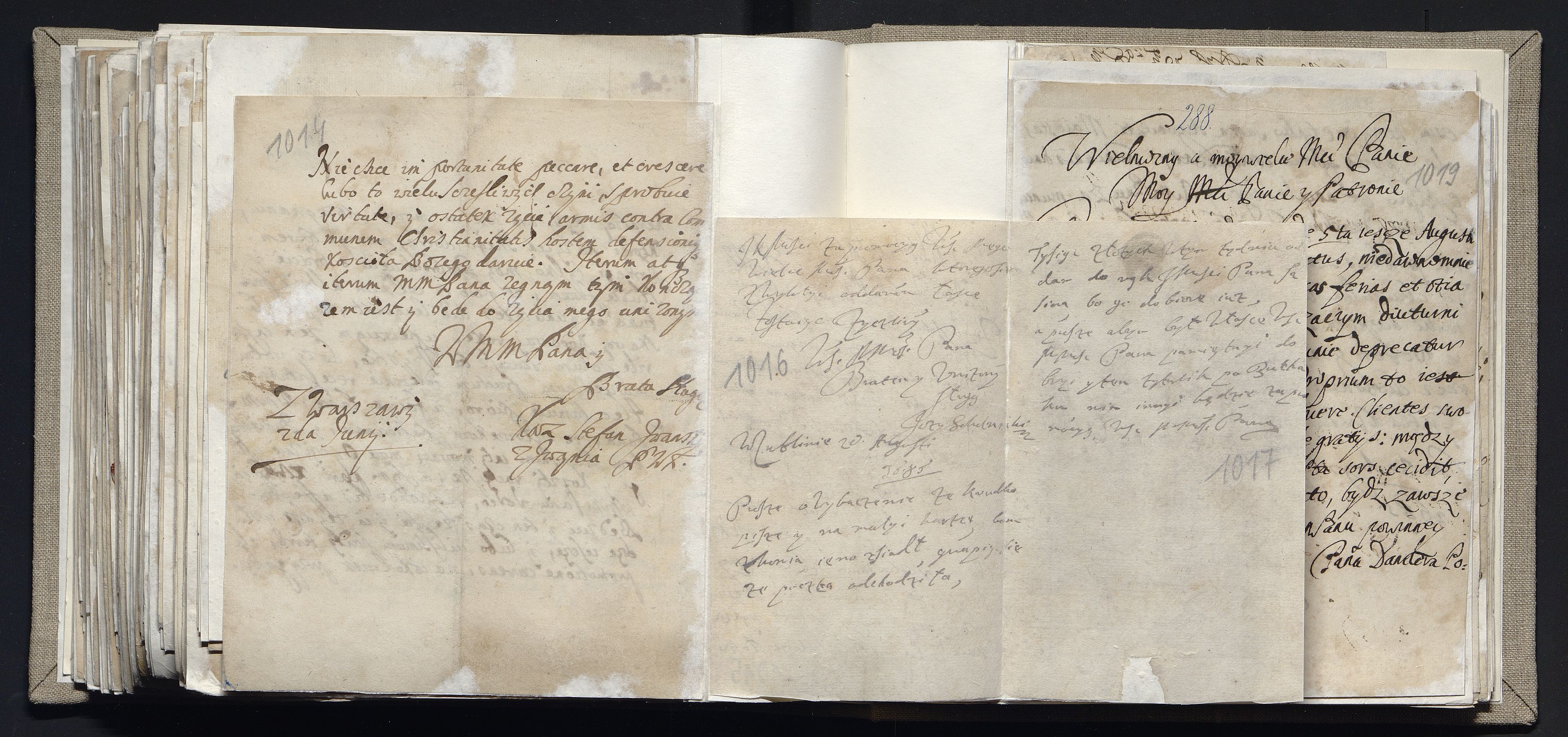 1_335_0_0_163a-11-2_0248