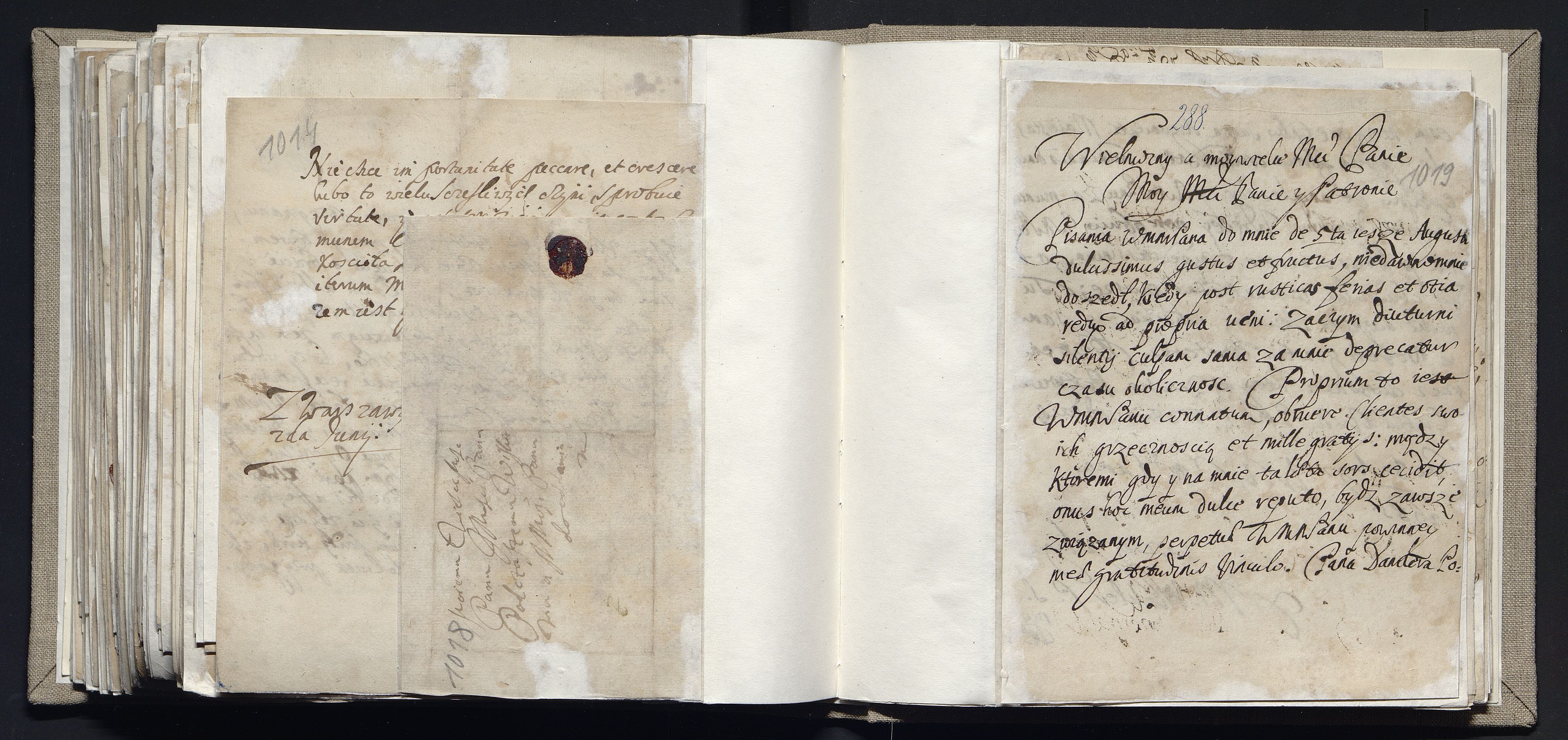 1_335_0_0_163a-11-2_0249