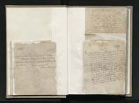 1_335_0_0_163a-11-3_0017