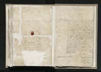 1_335_0_0_163a-11-3_0137