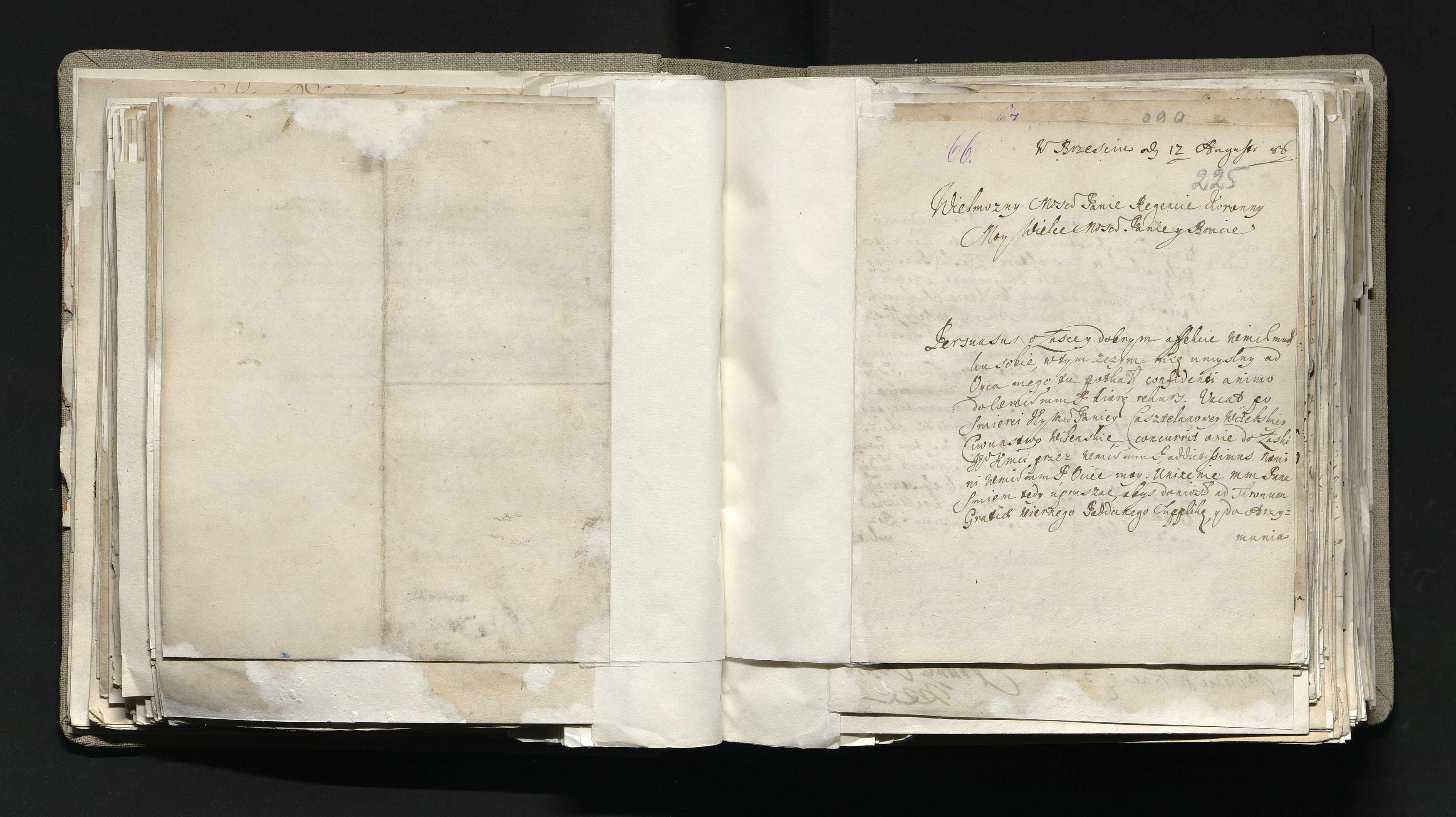 1_335_0_0_163a-12_0118