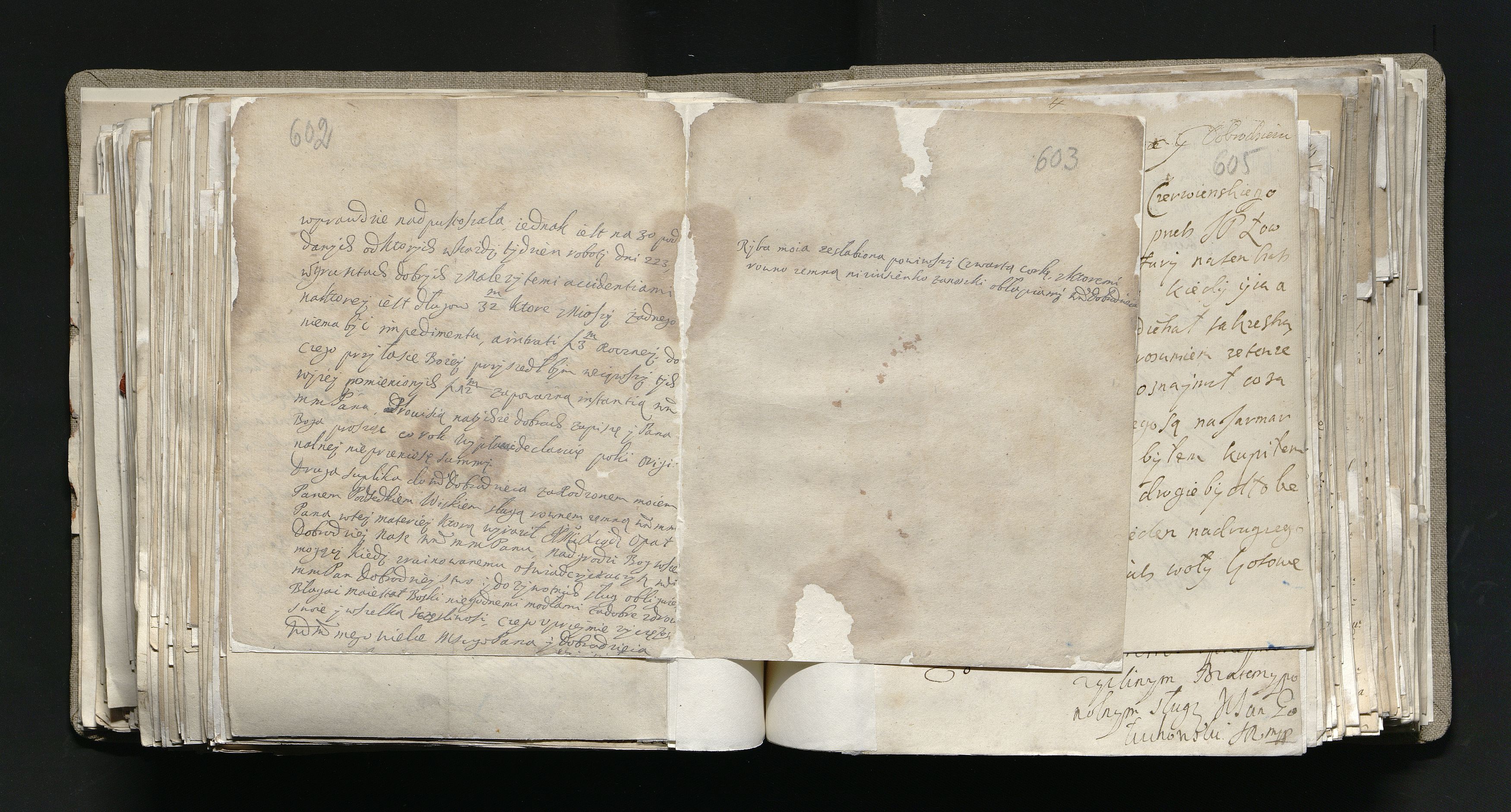 1_335_0_0_163a-12_0305