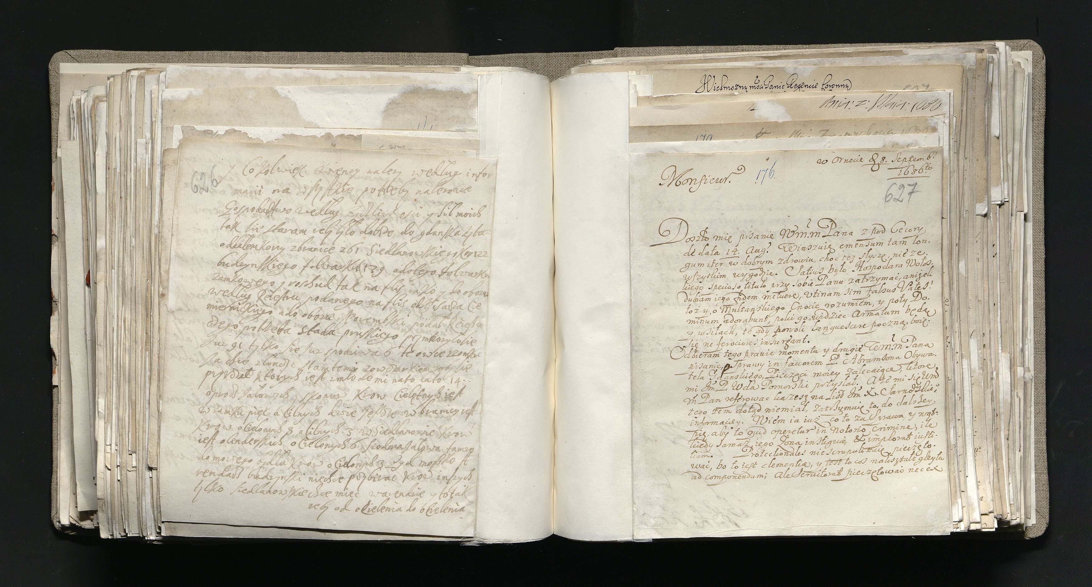 1_335_0_0_163a-12_0317