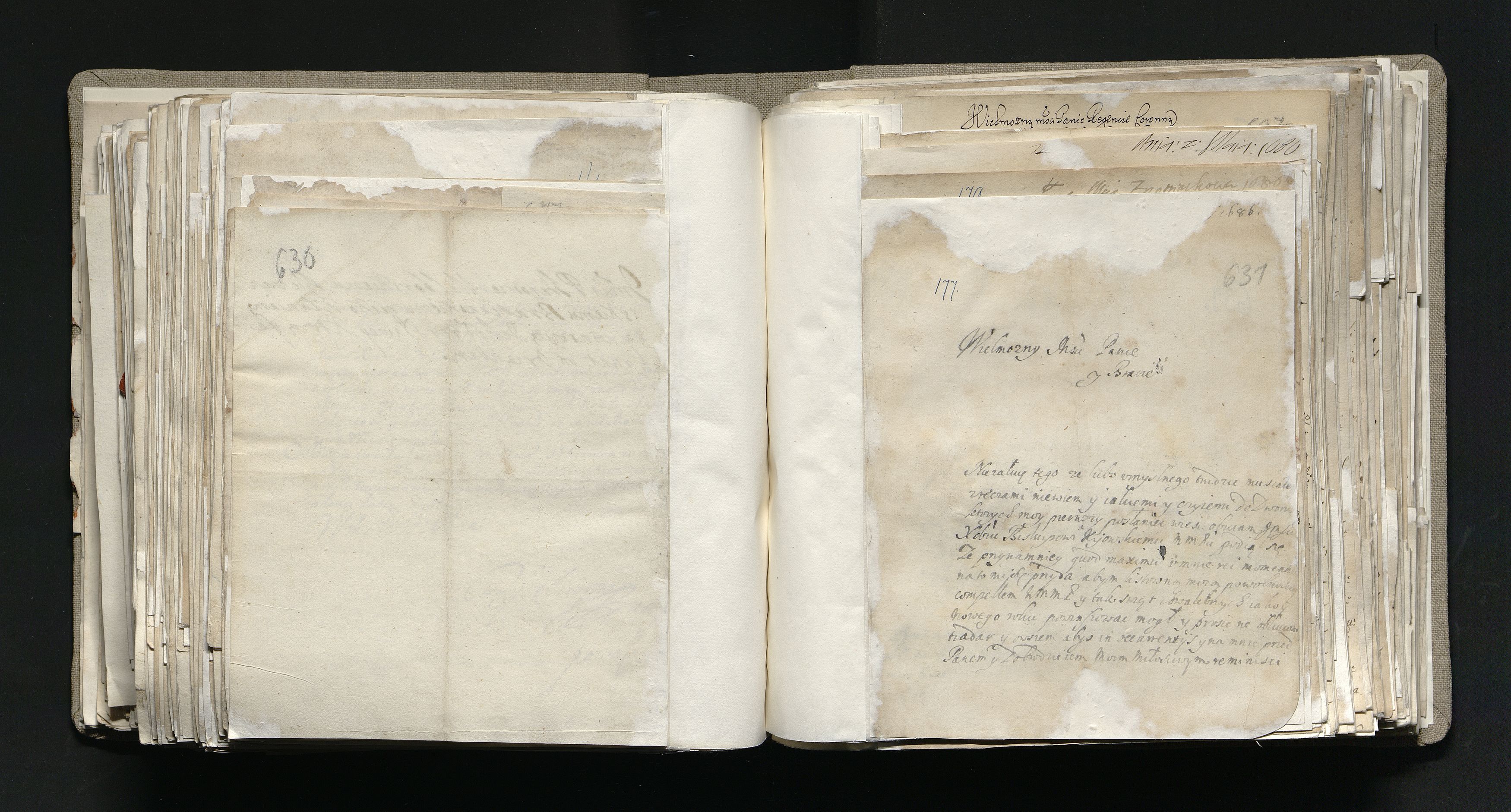 1_335_0_0_163a-12_0319