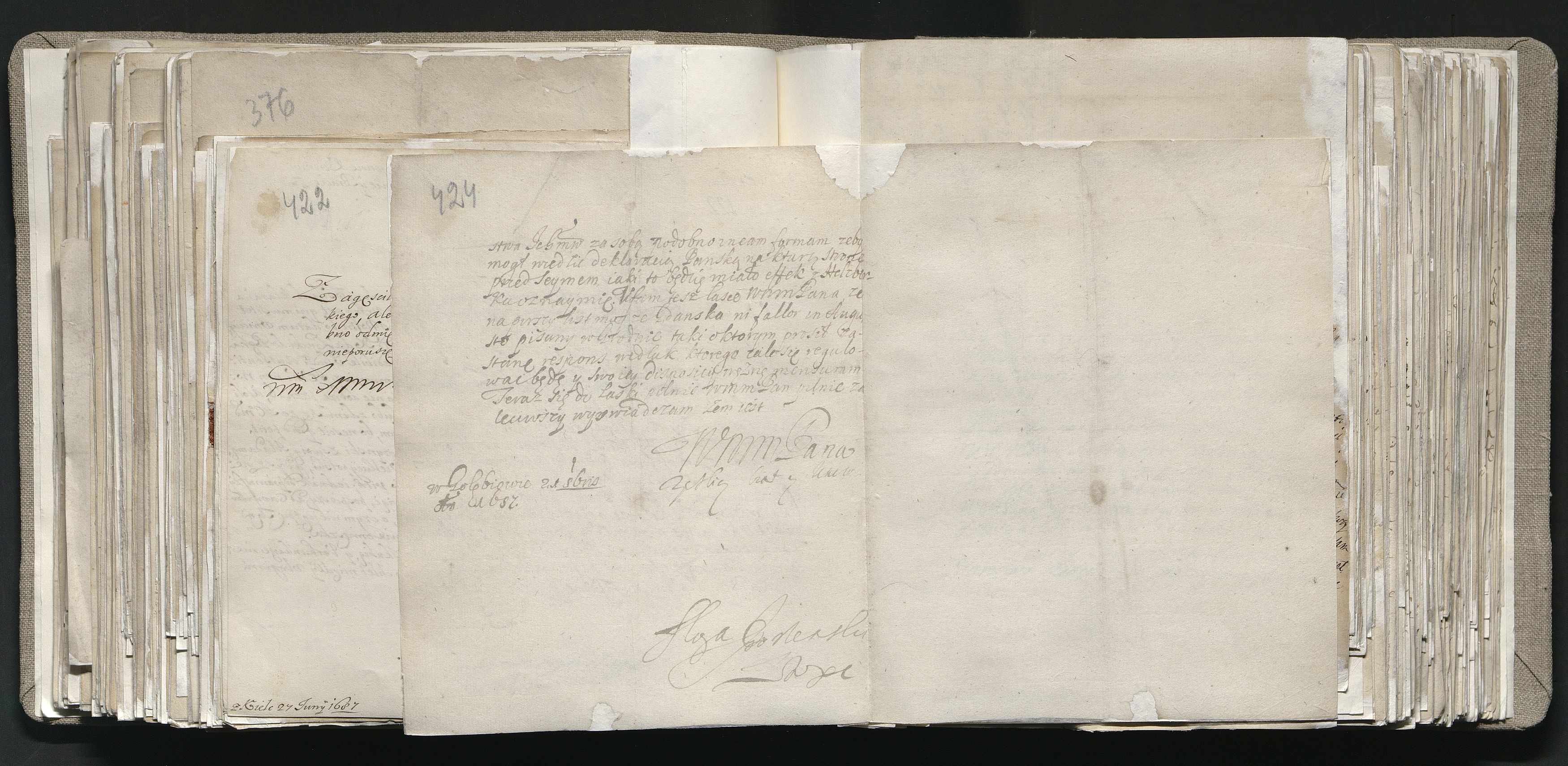 1_335_0_0_163a-13_0219